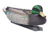Simulation Duck Statue Animal Mold Decoration Plastic Crafts Gardening Courtyard DecorationMale Duck V1294-YM0901-3111210023511