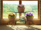 6 Tiers Garden Cart Stand & Flower Pot Plant Holder Display Rack Parisian Style V767-XJJ626-G2