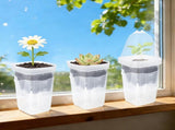 Self-Watering Propagation Station with Adjustable Ventilation Dome, Clear Square Plant Nursery Pot V1341-ZY-DZZM44ZF-12PCS