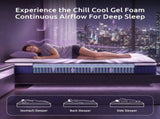 Levitex Double Mattress 23CM With Pocket Spring & Cooling Gel Foam, Medium-Firm Full-Body Support, MATTRESS-F-SYNC-23-D
