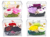 4pcs Valley of Rain & Forest Long-Lasting Real Flowers, Handcrafted Preserved Rose Bush For you to V1192-AZ-W-3709