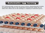 CARLA HOME 128 Egg Incubator withmatic Turning, LED Display, Humidity & Temperature Control, LSB-36356