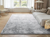 Indoor Plush Area Rugs, 1.83x2.74 m Soft Plush Carpet, FFurry Shag Area Rugs for Living Room, V952-JXZXDTSM6X9FYV2LW001V0