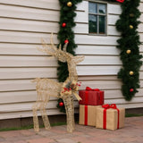 Christabelle Light Up Christmas Reindeer Display Indoor Outdoor Decoration Warm White LED Light 112_MHA603