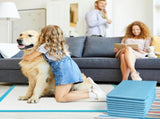 100 pcs 33*45cm Dog Pee Pads Large Puppy Pee Training Pads Super Absorbent & Leak-Proof Disposable V1107-135-61664-WHT1