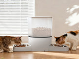 PaWz 6L Automatic Pet Feeder 2 Bowl Food Dispenser PT1275-6L-VD-AU