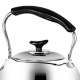 Whistling Kettle Stainless Steel Boiling Audible Alarm Large Opening Stovetop Teapot with Tea Filter V1294-YM0703-3118230038911