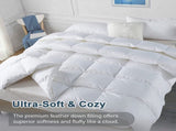 Goose Feather Down Quilt 700 GSM Duvet DoonasQueen210x210cm V201-W12782679