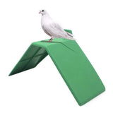 10PCS Dove Rest Stand Plastic Pigeons Bird Stand Perches Nonslip Pigeon Bird Perch Bird Holder V1294-YM0717-10077566