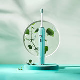 DR.BEI Little Flower Sonic Electric Toothbrush E5 V943-6970763914002