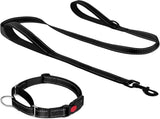 Martingale Dog Collar, 6FT Double Handle Leash for Training, Black V1259-DP01-A-4636
