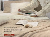 Pink 180*200cm Double Blanket, Taffeta Fleece Blanket, Thick Winter Quilt, Lambswool Coral Fleece V888-ELOSUNG50043