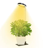 Full Spectrum LED Plant Grow Light with Telescopic Stand, Angel Ring Design, Dimmable Timer & V1341-ZY-76TZSDPE-3PCS-D