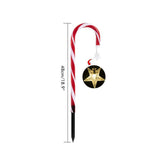 Outdoor Solar Garden Lamp Waterproof Solar Christmas Cane Stake Light Lawn Yard Ornament for Indoor V1294-YM0523-10318894