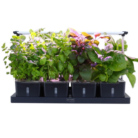 PLANTCRAFT 20 Pod Indoor Hydroponic Growing System, with Water Level Window V219-GDSHYDBD20KA