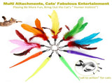 11PCS Interactive Cat Toys - Retractable Wand Toy Feather Toys Refills for Indoor Cats to Chase V1370-AZ4-02988
