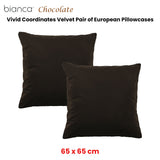 Bianca Pair of Vivid Coordinates Velvet European Pillowcases Chocolate 65 x 65cm V442-BCA-PILLOWC-VIVIDCOORD-CHOCOLATE-EU