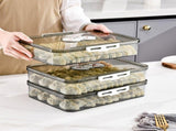 Large Capacity Transparent Plastic Food Storage Container with Airtight Sealing Lid for Refrigerator V1366-AZ2-W-14670