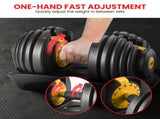 Powertrain 24kg Adjustable Dumbbell Home Gym Exercise Weights Free Workout Gold DMB-BF1-024-1-GD