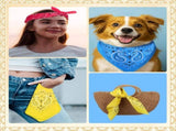 72 Pieces Paisley Bandanas Bulk Cowboy Paisley Bandanas Unisex Head Wrap Scarf for Western Party V1258-DP02-F-939