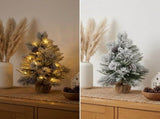 Christabelle 61cm 2ft Alpine Snow Potted Christmas Tree Pre Lit LED Pinecone Hessian Tabletop F 112_WFLAS2P