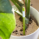 Set of 10, Plant Soil Moisture Sensor,House Plant Soil Moisture Meter, Best for Indoor Potted Plants V1369-AZ3-W-19082