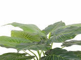 Artificial Potted Taro Plant / Elephant Ear 70cm V637-DP1159626