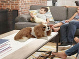 Realistic Charlie Dog Plush Toy Stuffed Animal Soft Cute Gift PetKid V1192-AZ-W-33356