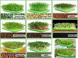 Tutuviw BPA Free Hydroponics Soilless Seeds Sprouter Microgreen Seed Sprouter Trays Seed Germination V1189-WXFWAL-20260319-01184