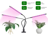 60 LED Full Spectrum Grow Light with 3 Timers, MultiColor V1237-ZY-506-0059