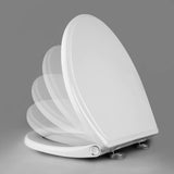Premium Elongated Toilet Seat with Toilet Seat Bumpers V1258-DP02-C-839