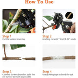 Professional Grafting Scissors Garden Scissors Tree Grafting Pliers Garden Grafting Kit for Trees V1188-CE-MO02902