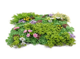 Artificial Dense Succulent Green Wall / Vertical Garden Panel 50cm x 50cm UV Resistant V637-DP0159883R