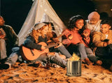 Portable Table Top Fire Pit with Stand, 8.5" Stainless Steel Mini Outdoor Low Smoke Burning Tabletop V1192-AZ-W-3104