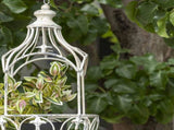 Martinique Classic Hanging Planter 20x62cm V637-74098PLN