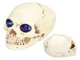 Skull Ornaments Vivid Lightweight Easily Clean Add Horror Ambience Halloween Props for Party Haunted V1294-YM0714-3115210185211