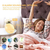 1 Pack Wake Up Light Alarm Clock with FM Radio and Sunrise Sunset Simulation V1188-MS-325-0280
