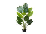 Artificial Bird of Paradise 1829 mm Tall, Fake Tropical Plants with with 13 Trunks & White Pot, Faux V952-RZRDZWTTNZL6CG3Q9001V0