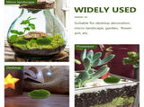 Green Simulation Moss Rocks for Indoor and Outdoor Use - Lifelike Appearance V1369-AZ3-W-16560