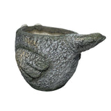 Curious Bird Planter W Hole & Plug 41x24cm V637-49456BRD