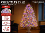Christabelle 2.3m Christmas Tree Potted Alpine Fir with Pre Lit Multi-Colour LED Lights 112_HZPA75