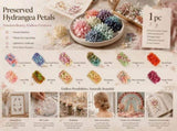Agate Blue Preserved Hydrangea Gradient Handmade Soap Candle Kit 12 Boxes V1221-XM-LB821-ZS19
