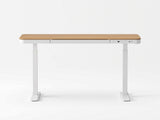 Artiss Motorised Standing Desk with Storage Drawer 120cm Wood White HASD-B-S08-WHPW