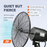 VEVOR Wall-Mount Misting Fan Oscillating Metal Fan 61.6 cm 3 Speed Waterproof V952-GYBGSFSYCSS24BCVOV3