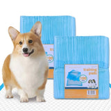 200pcs Dog Absorbent Training Pad 60 x 60 cm V915-MB0045X2