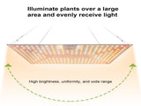 Plant Lamp LED Succulent Fill Light 50W Full Spectrum Plant Grow Light Quantum Plate V1294-YM0901-L6913US-2