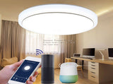 48W Smart WiFi Ceiling Lamp Voice Control Remote Dimmable LED Ceiling Lights Memory Function Bedroom V1294-YM0901-DZ0377G