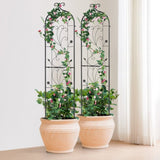2 Packs Metal Garden Trellis for Climbing Plant Support 60x15 in Rustproof V952-HPJHX2JTH60WT4XPAV0