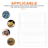 Clear Spider Terrarium for Jumping Spiders and Small Reptile Habitats, Enclosure with Ventilation V1369-AZ3-W-14203