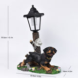 Resin Hummingbird Solar Lamp Outdoor Garden Sculpture Couple Hummingbird - Multi-color - Size 10 V1347-118-12811-MLT-10
